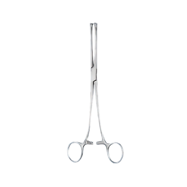 Surgical Lockwood Tissue Forceps, SPII-038