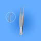 Surgical Schweiger Extra-Capsular Forceps, SPOI-006