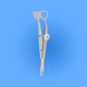 Surgical Wies Chalazion Forceps, SPOI-015